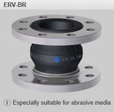 ERV-BR-2_1