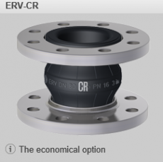 ERV-CR-2_1